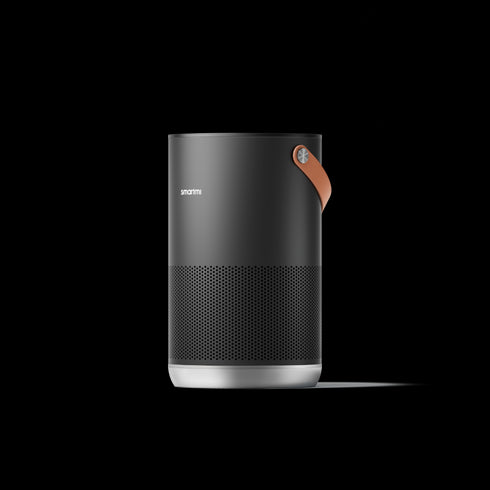 Air Purifier P1